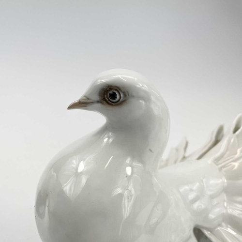 866 - A pair of 20th century Rosenthal porcelain doves impressed F. Heidenreich to base, height 14cm.