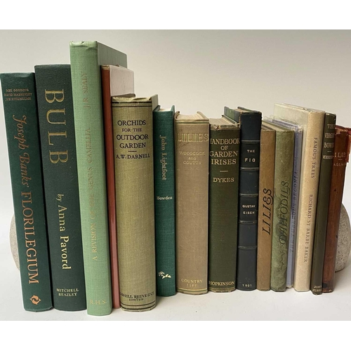 10 - HORTICULTURE Interest. 'Orchids for the Outdoor Garden,' by A. W. Darnell, original cloth, colour il... 