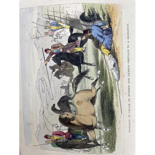 11 - Mrs PERCY SINNETT. 'Herdsmen and Tillers of the Ground,' original cloth, hand coloured frontis engra... 