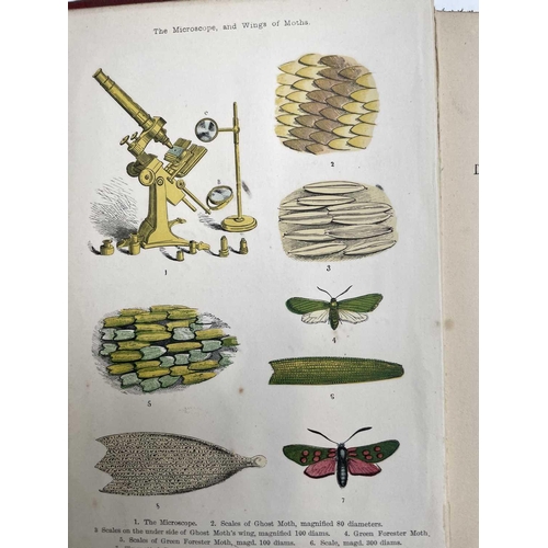 11 - Mrs PERCY SINNETT. 'Herdsmen and Tillers of the Ground,' original cloth, hand coloured frontis engra... 