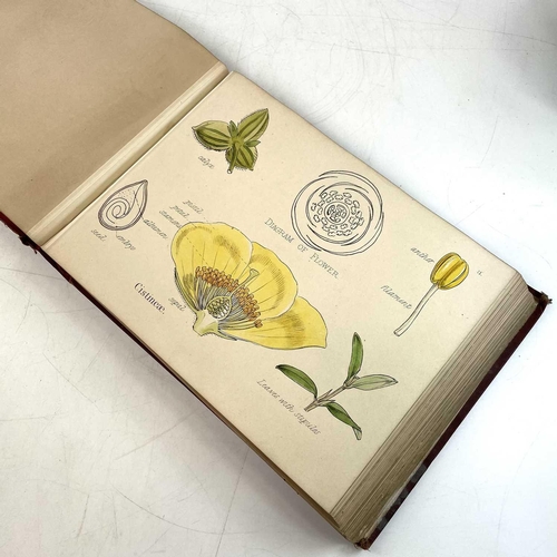 47 - Prof OLIVER. Illustrations of the Natural Orders of the Vegetable Kingdom,' obl. 4to, original cloth... 