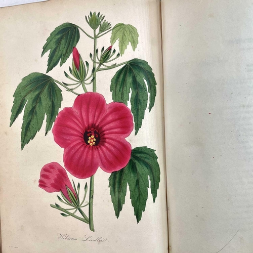 48 - JOSEPH PAXTON. '........Magazine of Botany and Register of Flowering Plants,' two vols, uniformly bo... 