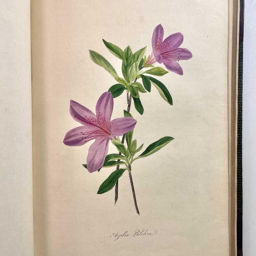 48 - JOSEPH PAXTON. '........Magazine of Botany and Register of Flowering Plants,' two vols, uniformly bo... 