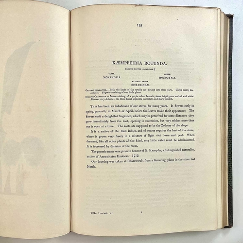 48 - JOSEPH PAXTON. '........Magazine of Botany and Register of Flowering Plants,' two vols, uniformly bo... 