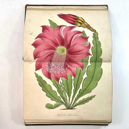 48 - JOSEPH PAXTON. '........Magazine of Botany and Register of Flowering Plants,' two vols, uniformly bo... 