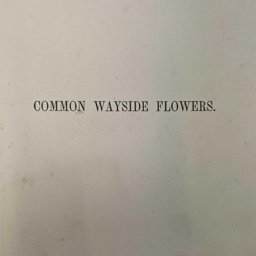 50 - CHARLES L. EASTLAKE. 'Hints on Household Taste,' third edition, original cloth, Longmans, Green, and... 