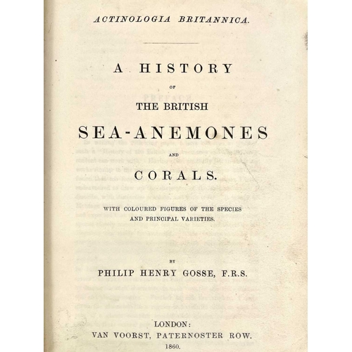 51 - PHILIP HENRY GOSSE. 'Actinologia Britannica. A History of the British Sea-Anemones and Corals,' orig... 