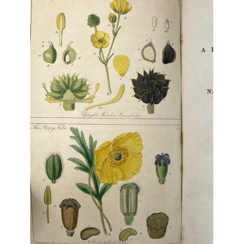 52 - JOHN LINDLEY. 'Ladies Botany: or A Familiar Introduction to the Study of the Natural System of Botan... 
