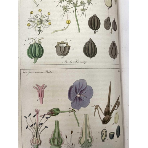 52 - JOHN LINDLEY. 'Ladies Botany: or A Familiar Introduction to the Study of the Natural System of Botan... 