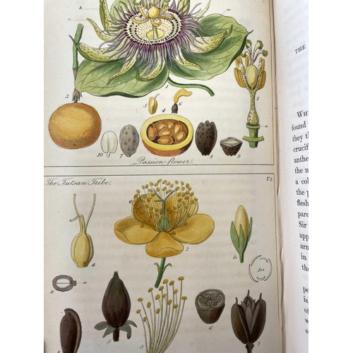 52 - JOHN LINDLEY. 'Ladies Botany: or A Familiar Introduction to the Study of the Natural System of Botan... 