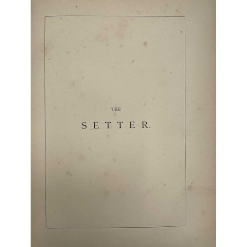 53 - EDWARD LAVERACK. 'The Setter,' pebbled cloth, colour frontis, Longmans, Green, and Co, London, 1872.