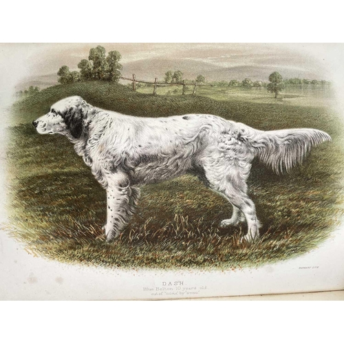 53 - EDWARD LAVERACK. 'The Setter,' pebbled cloth, colour frontis, Longmans, Green, and Co, London, 1872.