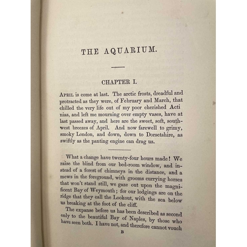 58 - PHILIP HENRY GOSSE. 'The Aquarium: An Unveiling of the Wonders of the Deep Sea,' second edition, ori... 