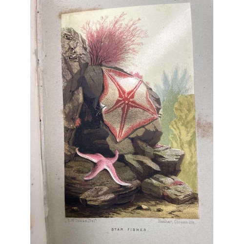 58 - PHILIP HENRY GOSSE. 'The Aquarium: An Unveiling of the Wonders of the Deep Sea,' second edition, ori... 