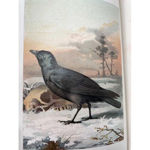 58 - PHILIP HENRY GOSSE. 'The Aquarium: An Unveiling of the Wonders of the Deep Sea,' second edition, ori... 