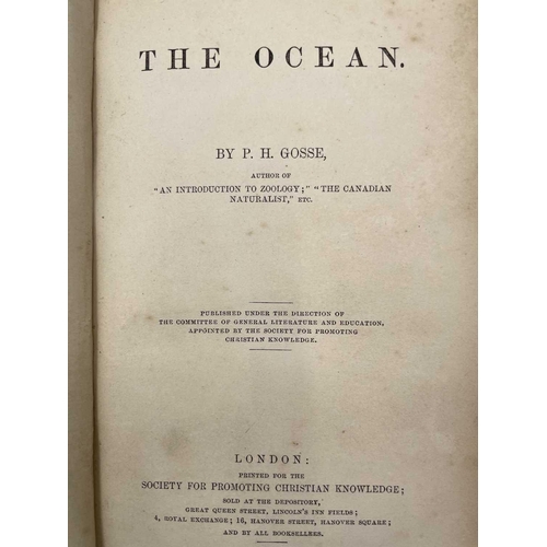 58 - PHILIP HENRY GOSSE. 'The Aquarium: An Unveiling of the Wonders of the Deep Sea,' second edition, ori... 