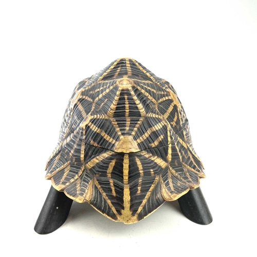 11 - An Anglo-Indian turtle form trinket box, early 20th century, with star tortoiseshell cover and inlai... 