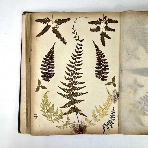 119 - A Victorian book of pressed ferns.