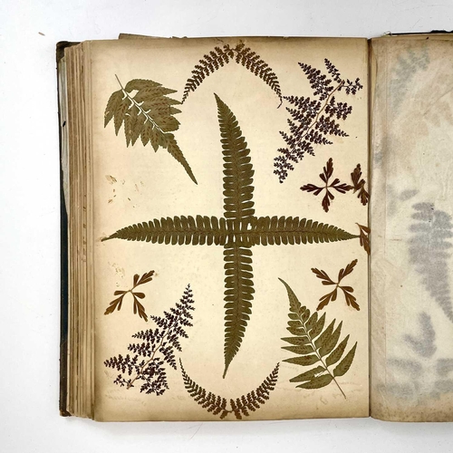 119 - A Victorian book of pressed ferns.