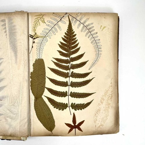 119 - A Victorian book of pressed ferns.