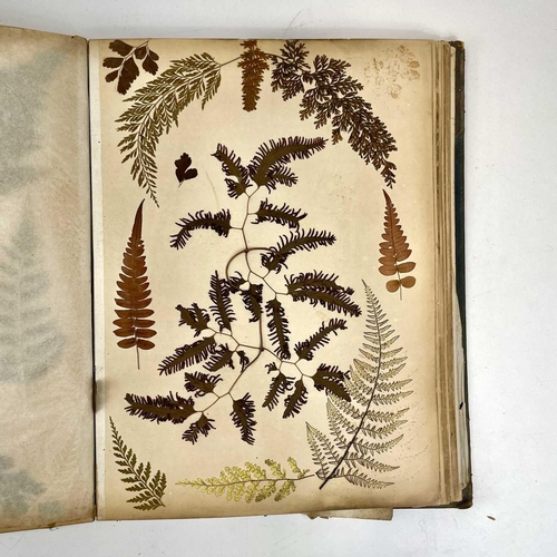 119 - A Victorian book of pressed ferns.