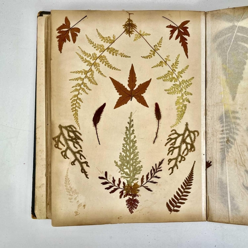 119 - A Victorian book of pressed ferns.