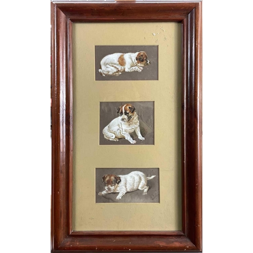 1401 - CANINE INTEREST: A Jack Russell triptych in various poses composed in a single frame Watercolour wit... 