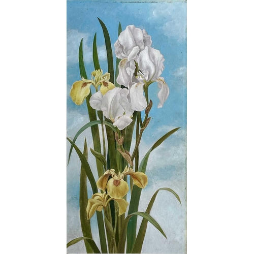 1414 - English School, circa 1920, Iris; Lillies, a pair of watercolours, each 49X23.5cm (2).