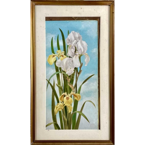 1414 - English School, circa 1920, Iris; Lillies, a pair of watercolours, each 49X23.5cm (2).