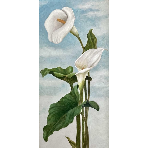 1414 - English School, circa 1920, Iris; Lillies, a pair of watercolours, each 49X23.5cm (2).