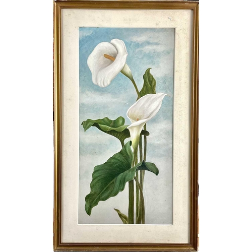 1414 - English School, circa 1920, Iris; Lillies, a pair of watercolours, each 49X23.5cm (2).