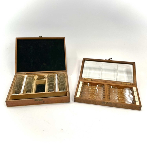 199 - A set of twelve Opticians lenses, with gilt metal fittings, contained in a glazed top oak case, widt... 