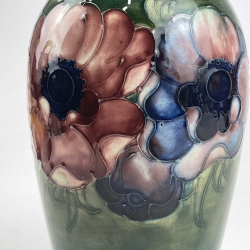 805 - William Moorcroft, anemone pattern vase, of baluster form, circa 1930, tube-lined and painted with t... 