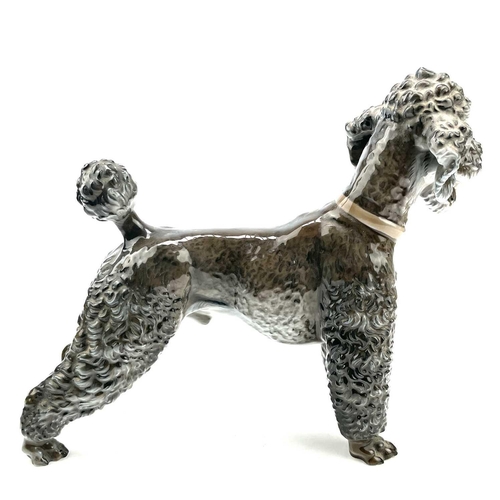 810 - A Rosenthal porcelain figure of a poodle, with impressed mark for Prof Theodor Karner, number 1211, ... 