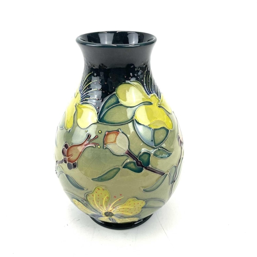 865 - A Moorcroft Hypericum vase, height 19cm, in box.