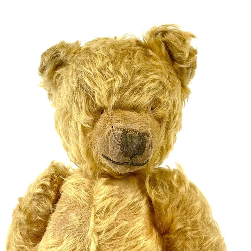 736 - Early to Mid 20th Century Teddy Bear Comprising an articulated plush golden coloured bear (length 42... 