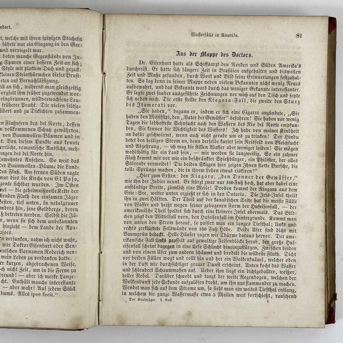 117 - Dr B FRIEDMANN Die Ostasiatische Inselwelt first volume Java 1868, together with volume two Sumatra,... 