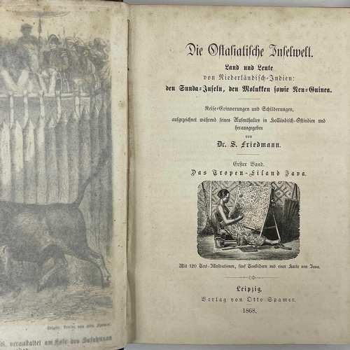 117 - Dr B FRIEDMANN Die Ostasiatische Inselwelt first volume Java 1868, together with volume two Sumatra,... 