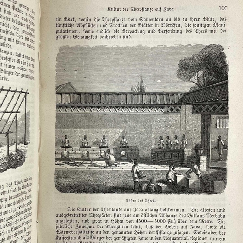 117 - Dr B FRIEDMANN Die Ostasiatische Inselwelt first volume Java 1868, together with volume two Sumatra,... 