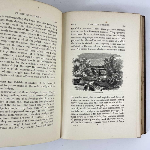 25 - ANNA ELIZA BRAY (Mrs) The Borders of the Tamar and Tavy volumes 1 and 2, 1879. (2)