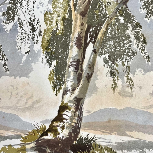 266 - M'KEWEN, 'Lessons on Trees in Water Colours', 1859. Gilt embossed cover, rebacked, reproduction of t... 