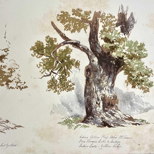 266 - M'KEWEN, 'Lessons on Trees in Water Colours', 1859. Gilt embossed cover, rebacked, reproduction of t... 