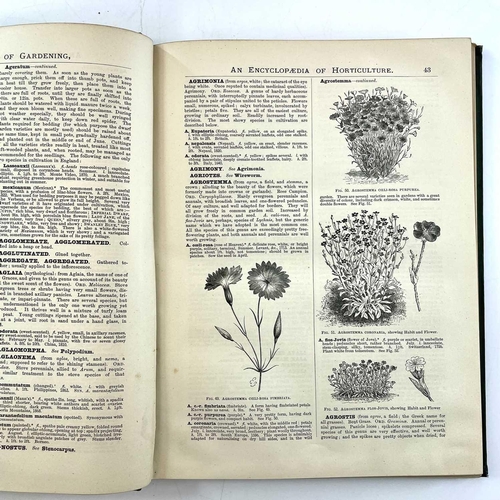 334 - GEORGE NICHOLSON. 'The illustrated dictionary of gardening,' 'A practical and scientific encyclopaed... 