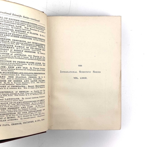 360 - Aurora Borealis by Alfred Angot (1896) THE AURORA BOREALIS By Alfred Angot (1896). Together with VOL... 