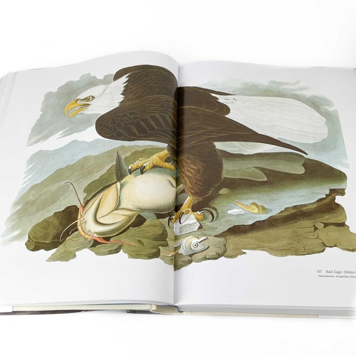 368 - Audubon illustrations. JOHN JAMES AUDUBON Illustrations. 'Audubon's Birds of America,' by Roger Tory... 