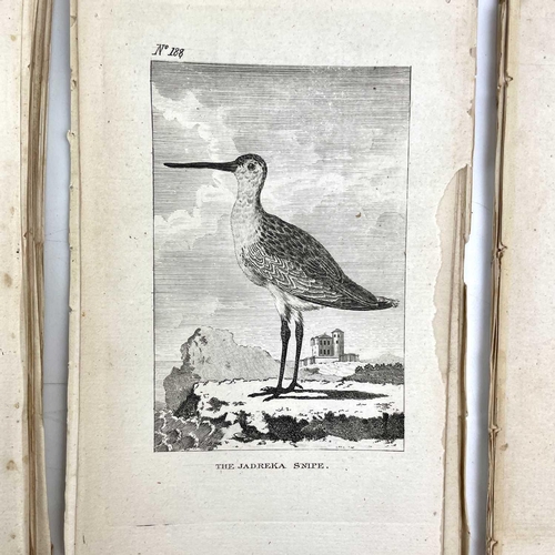 403 - ORNITHOLOGICAL Interest 'The Natural History of Birds,' by Count De Buffon, copious de-bound and loo... 