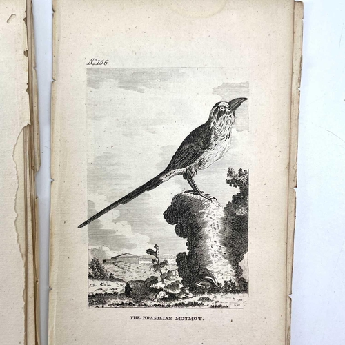 403 - ORNITHOLOGICAL Interest 'The Natural History of Birds,' by Count De Buffon, copious de-bound and loo... 