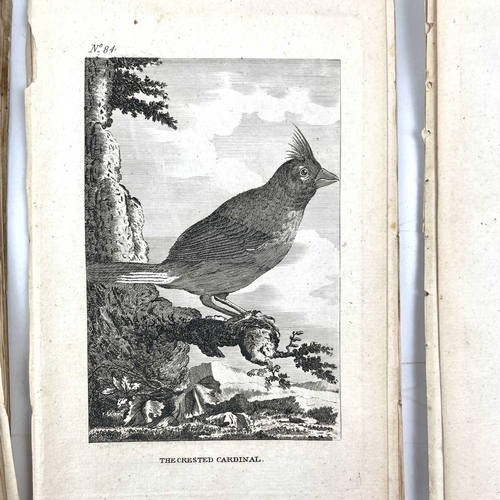 403 - ORNITHOLOGICAL Interest 'The Natural History of Birds,' by Count De Buffon, copious de-bound and loo... 