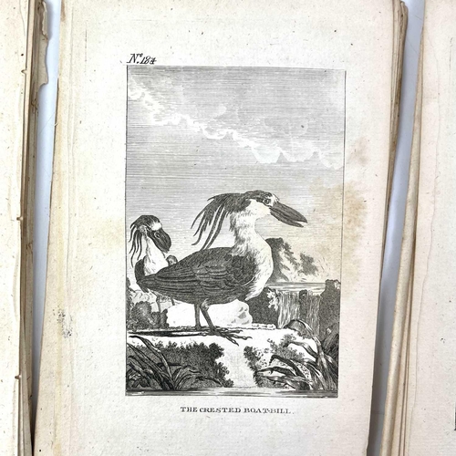 403 - ORNITHOLOGICAL Interest 'The Natural History of Birds,' by Count De Buffon, copious de-bound and loo... 