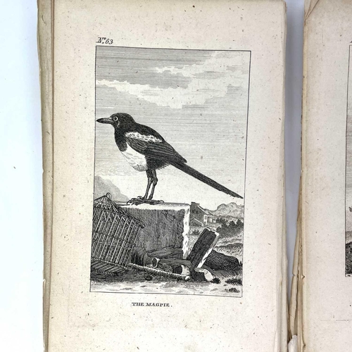 403 - ORNITHOLOGICAL Interest 'The Natural History of Birds,' by Count De Buffon, copious de-bound and loo... 